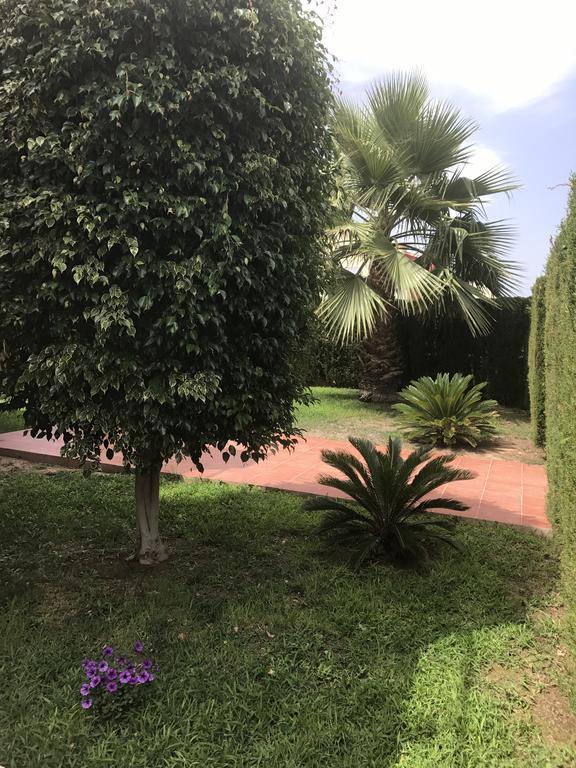 Apartment Altos De La Bahia X تورّيفيِخا المظهر الخارجي الصورة